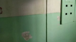 BTL-2020 г.в., ул. Героев Сибиряков, д. 36, 1 подъезд. Новый лифт в старинной 1-467А-20!