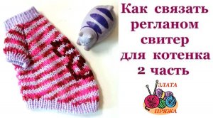 Как связать регланом свитер для котенка 2 часть