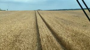 УБОРКА ПШЕНИЦЫ 2022.КФХ БРАТЬЕВ СУББОТИНЫХ