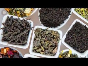 История возникновения и особенности чая как растения