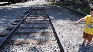 ПОЕЗД ПОЖИРАТЕЛЬ в Реальной Жизни ? SCP ПОЕЗД ПОЖИРАТЕЛЬ гонится за нами!!!