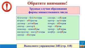 Тема 15. Число имён существительных