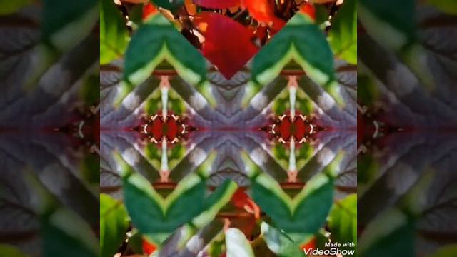 МЕДИТАЦИЯ ? ??ОСЕННИЙ КАЛЕЙДОСКОП ? смотреть онлайн