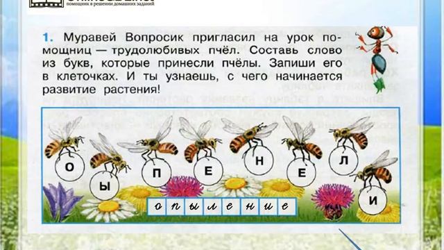 Размножение растений окружающий мир 3 класс. Муравей вопросик 1 класс рабочая тетрадь. Муравей вопросик составил список стран в которых он. Размножение и развитие растений окружающий мир страница 46. Муравей вопросик составил список.