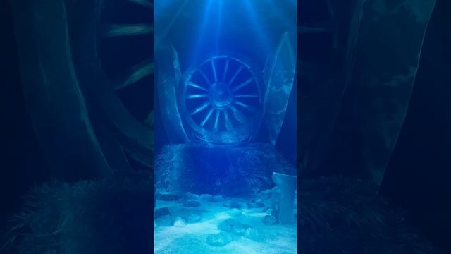 Peaceful Underwater Sounds for Deep Sleep-Relaxing, Sleep, Study, Meditation, Screensaver#231|Short смотреть онлайн