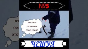 Кто мог оставить этот след