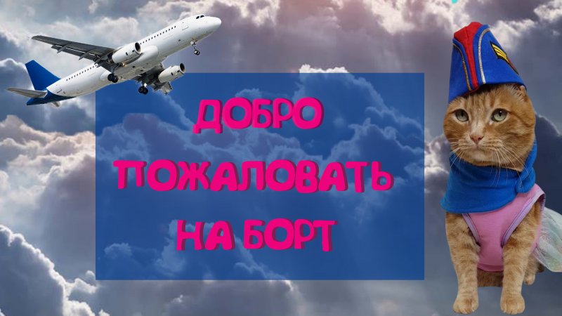 Добро пожаловать на борт✈️ ?
#shorts