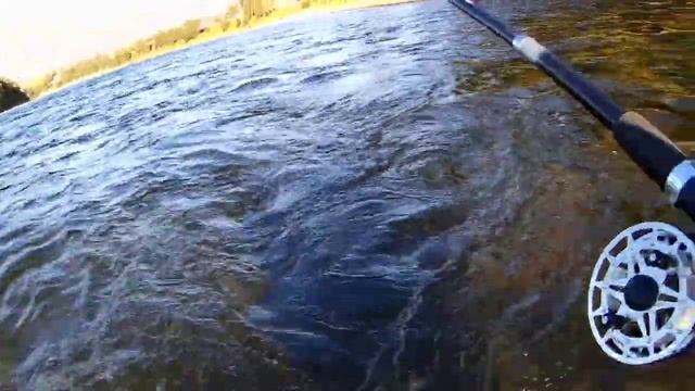 Хариус Заглотил Кембрик ☝. Ловля хариуса на Удочку на реке Бия. Рыбалка около дома. смотреть онлайн