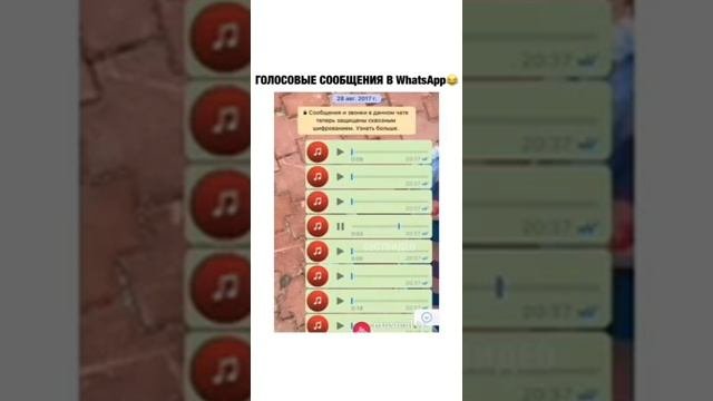 Меня зайбат зовут