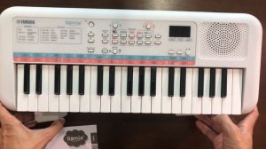 Yamaha Remie Pss e30