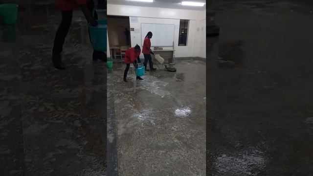 TERRAZO CLEANING EXPERTS (2) смотреть онлайн