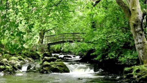 Релакс музыка.