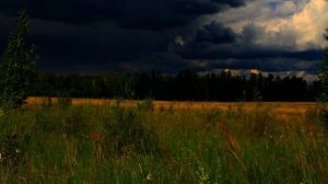 Георг Отс. Одинокая гармонь. Музыка - Б. Мокроусов, слова - М.Исаковский