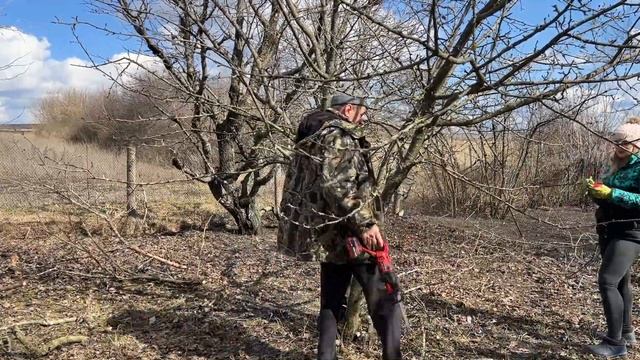 ЗАБРОШЕННЫЙ УЧАСТОК | НАВОЖУ ПОРЯДОК | РАБОТАЮ С САБЕЛЬНОЙ ПИЛОЙ | НАЧИНАЮЩИЙ САДОВОД-ОГОРОДНИК смотреть онлайн