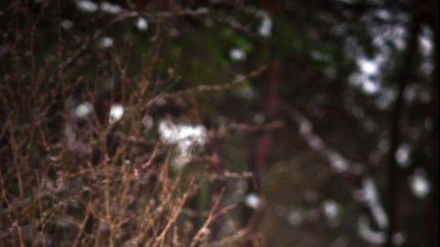 Деду Морозу смотреть онлайн