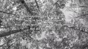 Botir Zokirov - Umid