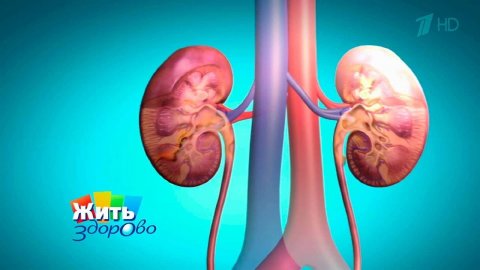 Почечная колика. Жить здорово! Фрагмент выпуска от 02.02.2016