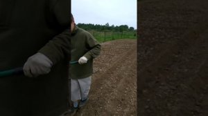 19.05.18 посадка картофеля мк Крот 2