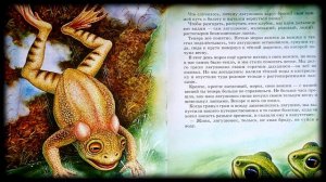 Михаил Пришвин "Лягушонок"