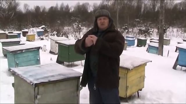 НА ТРЁХ РАМКАХ В ЗИМУ.ПЕРЕЗИМУЕТ ИЛИ НЕТ? смотреть онлайн