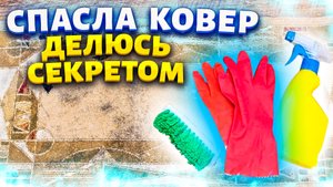 Ковер хотела выбросить, но нашла средство, которое очистило всю грязь, пыль, сажу! Ковер как новый!