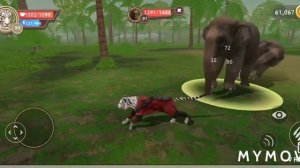 Прокачка ТИГРА до 100 уровня в вайлд крафт