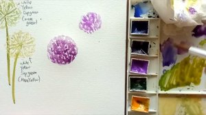 EASY Watercolor Flower: Allium