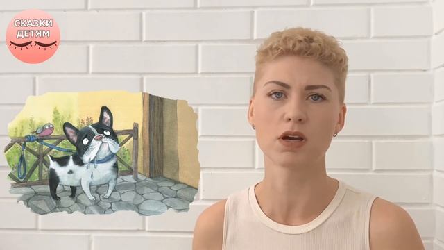 "Про бульдожку" / Читаем детям онлайн "Сказки на ночь" смотреть онлайн