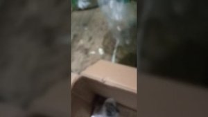 рррраспаковка!))))) лифан КР500 на снегоход буран