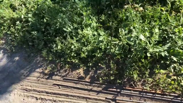 Демонтаж кирпичной стены. Как залить и укрепить фундамент. КВАС собственного БРОЖЕНИЯ смотреть онлайн