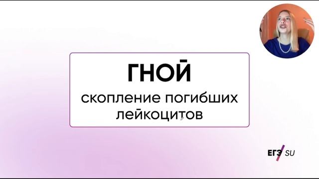 Кровеносная система и строение сердца за 20 минут | ЕГЭ биология | Sechenov ЕГЭ смотреть онлайн