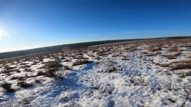 Охота с финской гончей смотреть онлайн