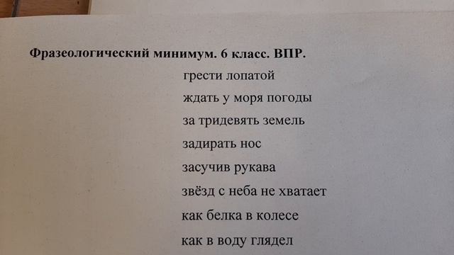 Фразеологический минимум (1 часть) ВПР по русскому языку  6 класс.mp4