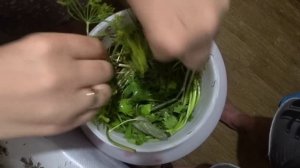 КВАШЕННЫЕ ОГУРЦЫ И ПОМИДОРЫ В БОЧКЕ. ЛЕГКО И БЫСТРО