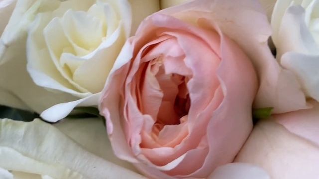 Букет Невесты Очарование смотреть онлайн