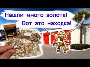 Нашли много золота, кольца с бриллиантами. Невероятно!
