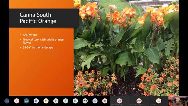 Home Grown-Update on Harris County Plant Trials 09172020 смотреть онлайн