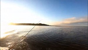 Рыбалка на троллинг в 4к на Рыбинском Водохранилище!Ловля Щуки и Судака в Сентябре2021!!!