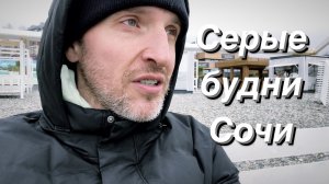 ВЛОГ Пришёл туман / Сочи в марте