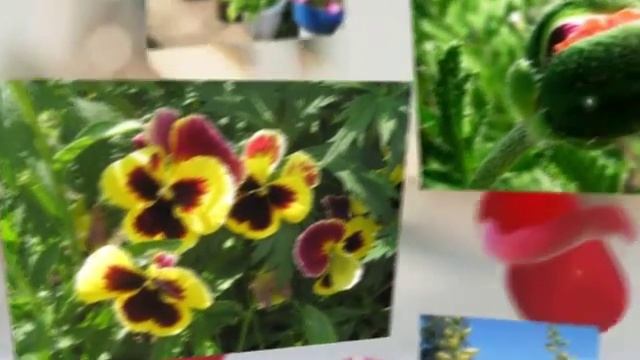 С Днем Рождения, сестренка! Поздравляю с Днем Рождения! смотреть онлайн