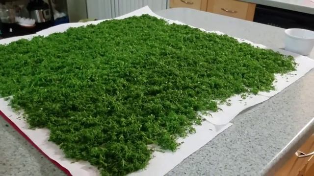 Сушим УКРОП на зиму смотреть онлайн