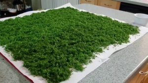 Сушим УКРОП на зиму