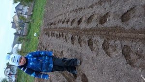 Ручная сеялка Винница или Китай обзор и впечатления первая посадка!