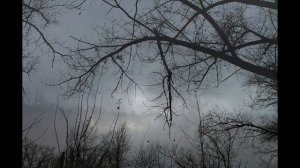 Canon EOS 1100D+Canon EF-S 18-55mm 1:3.5-5.6 III в 2021 году. Посмотрим примеры фото.