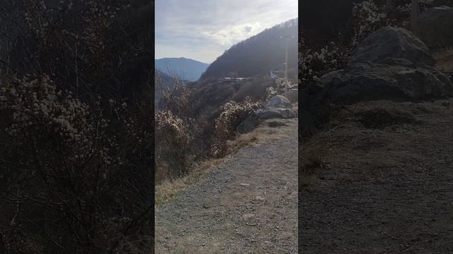 Водохранилище Жинвали // Reservoir Zhinvali ♥️