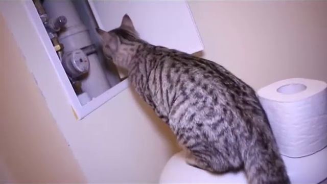 Как опломбировать счетчик смотреть онлайн