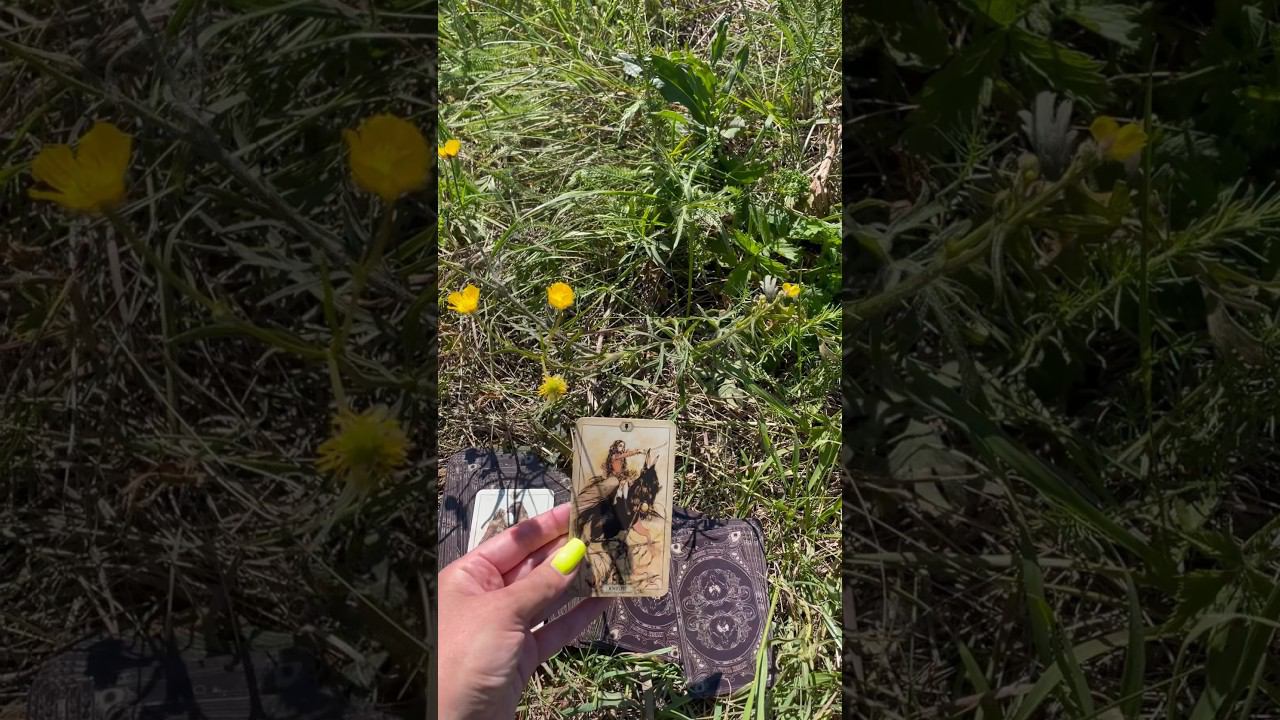 ❤️Что между нами? #тароотvicky #tarotfromvicky #таро  #чтобудетмеждунами #чтомеждунами #любовь