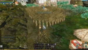 ArcheAge 5.5: Хочу много бревен! / Какие деревья приносят больше всего профита?