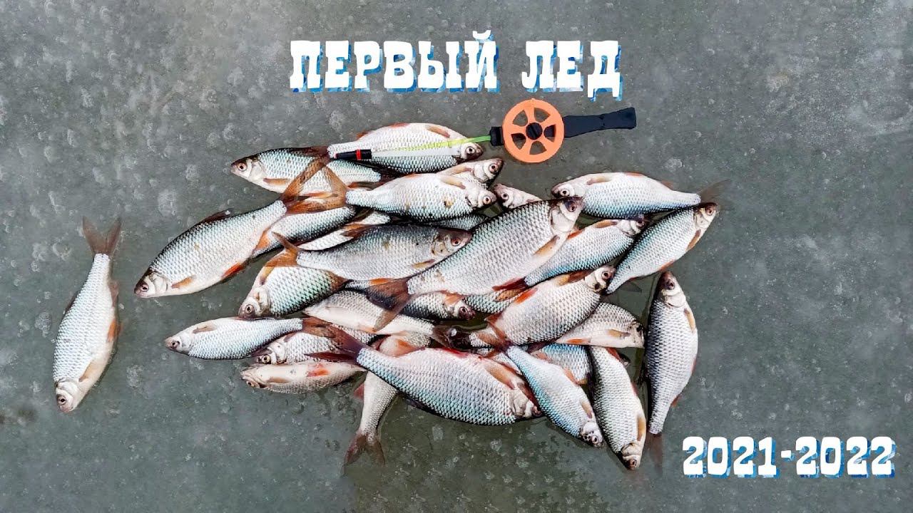 ПЕРВЫЙ ЛЕД 2021-2022 | СЪЕДОБНАЯ ПЛОТВА НА ГВОЗДЕШАРИК | ЗИМНЯЯ РЫБАЛКА . смотреть онлайн