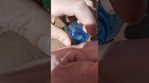 Конский волос